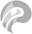 Paper Flows Logo